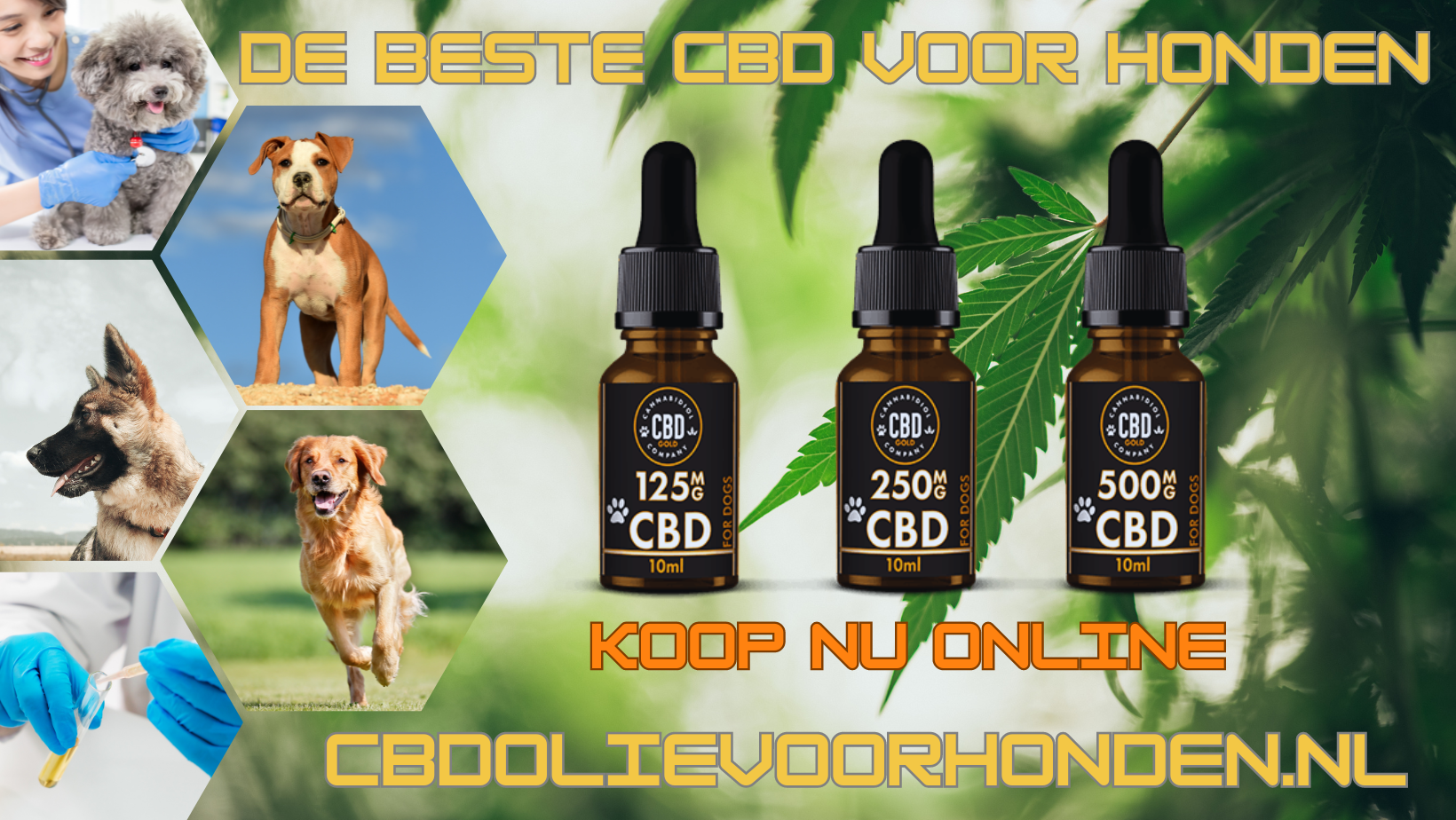 Bancontact mister cash cbd oil for dogs
