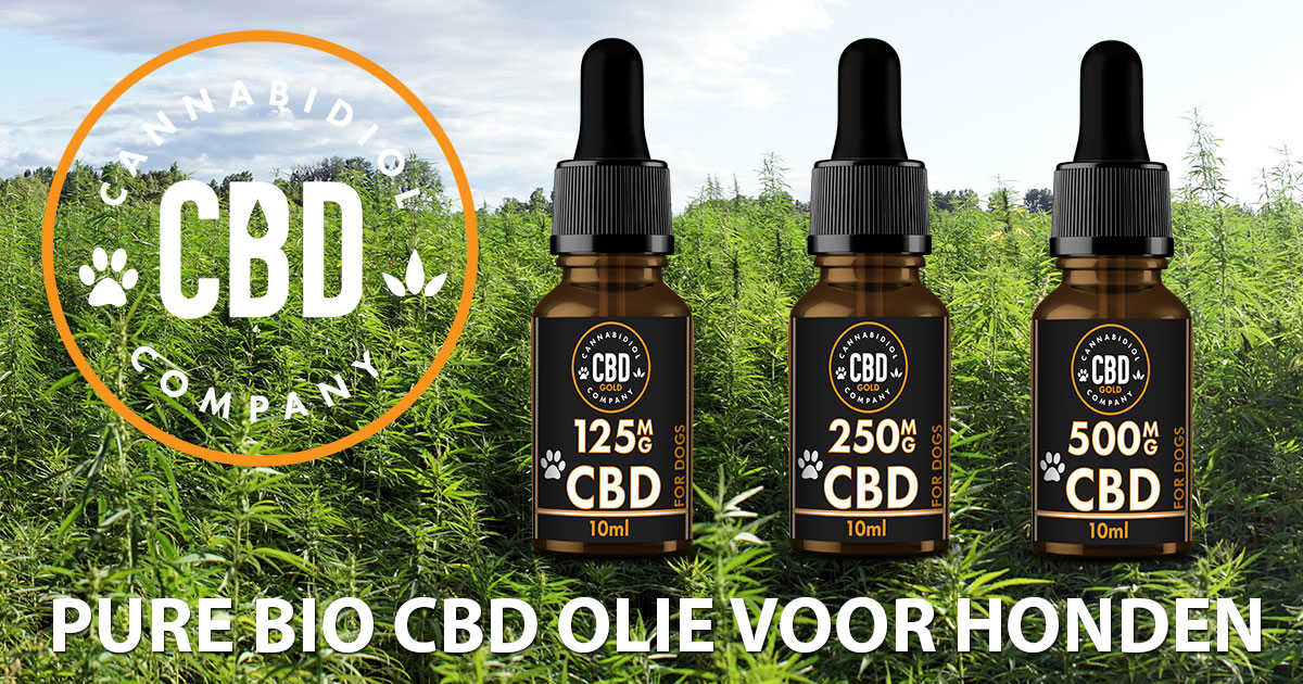 Gezondheidsvoordelen Cbd Olie Voor Honden